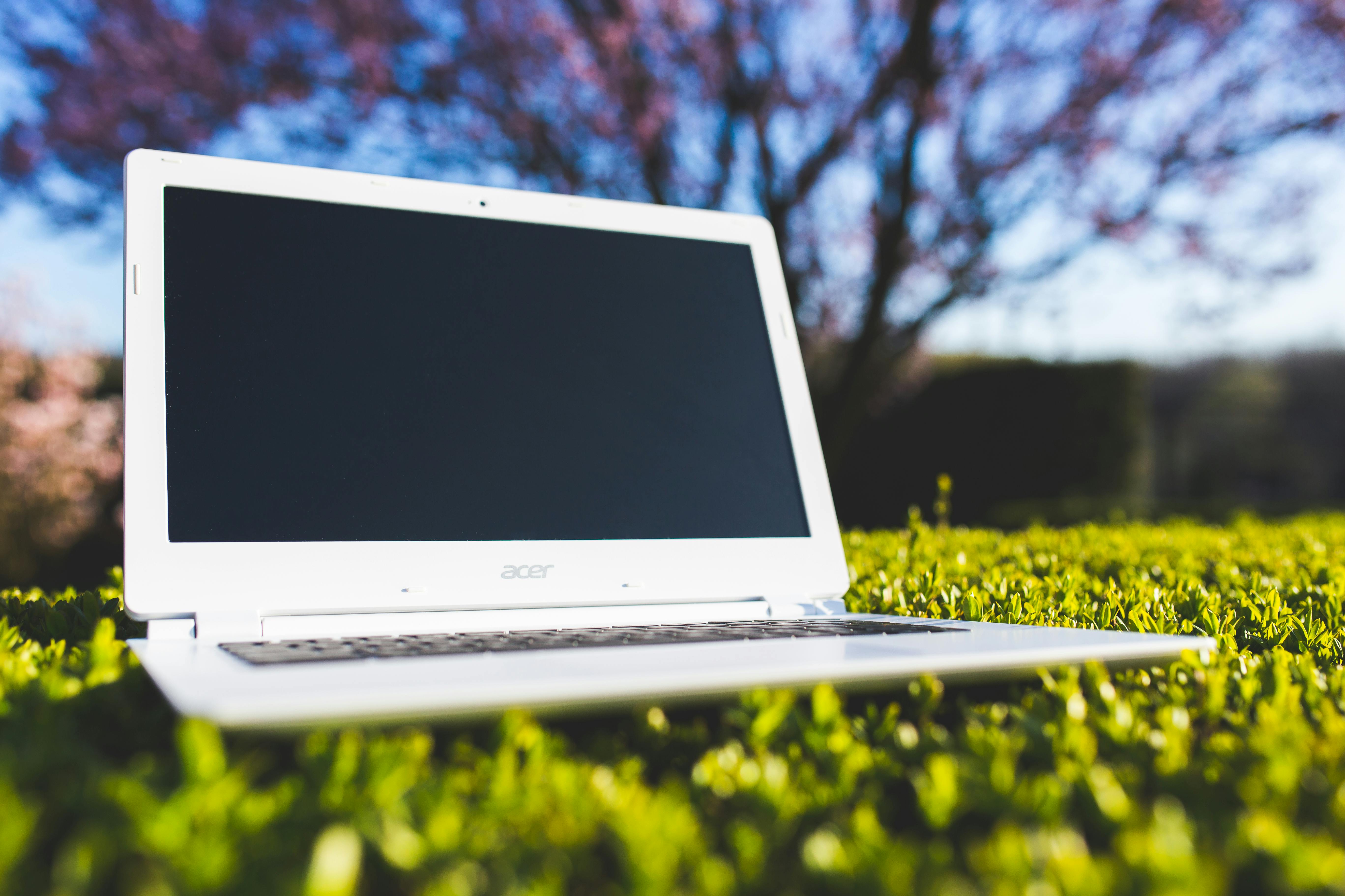 acer